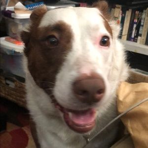 Meet your Posher, Greg